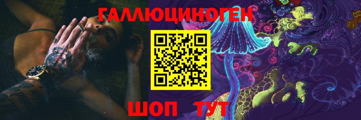 Галлюциногенные грибы Psilocybe Клинцы